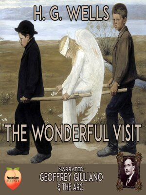 cover image of The Wonderful Visit